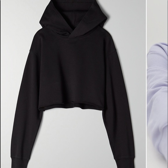 Aritzia Sweaters - TNA Perfect Cropped Hoodie